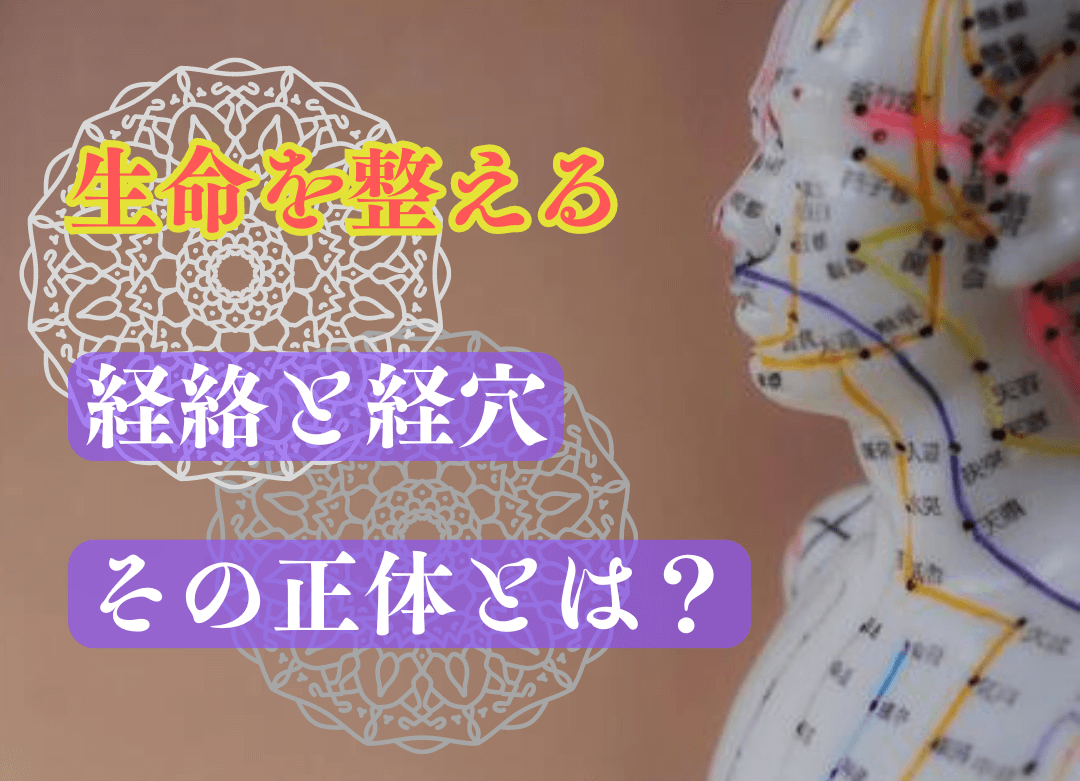 経絡・経穴(ツボ)とは？ | 浦和駅徒歩5分の鍼灸接骨院