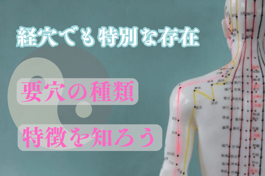 経穴主治症総覧 経穴主治症総覧 | 池田 政一 |本 | 通販 | Amazon