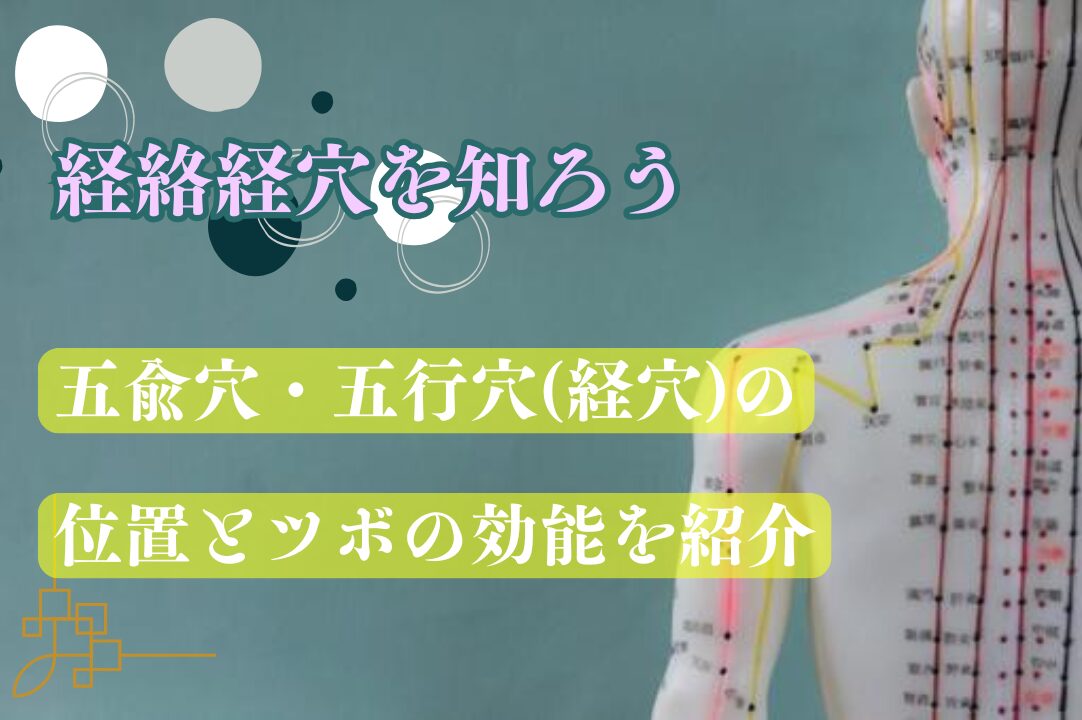 臨床経絡経穴図解 臨床経絡経穴図解 第2版/医歯薬出版株式会社