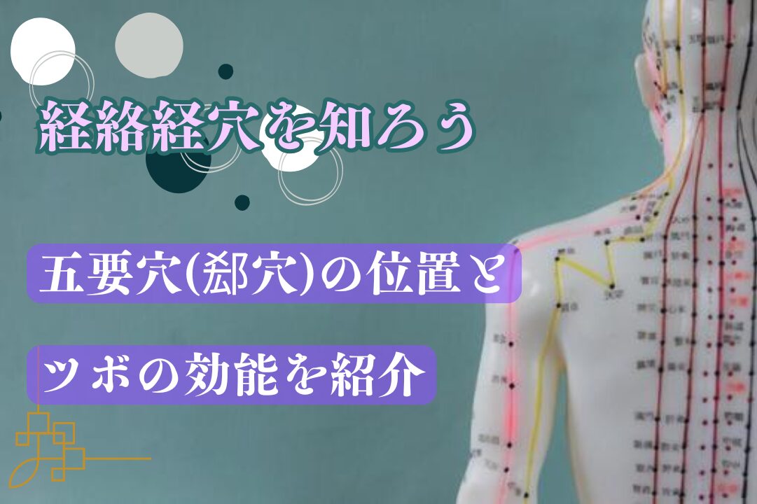 経絡経穴を知ろう - 五要穴(郄穴)の位置とツボの効能を紹介 - | 浦和駅