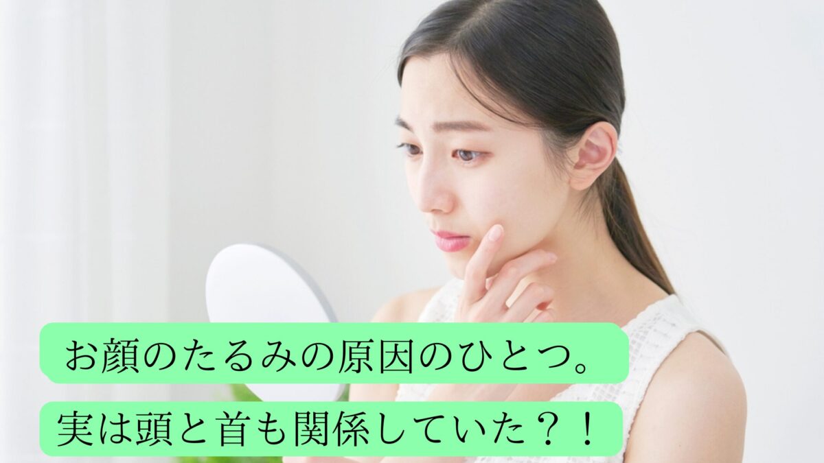 ￥５００クーポン🎁 (8)