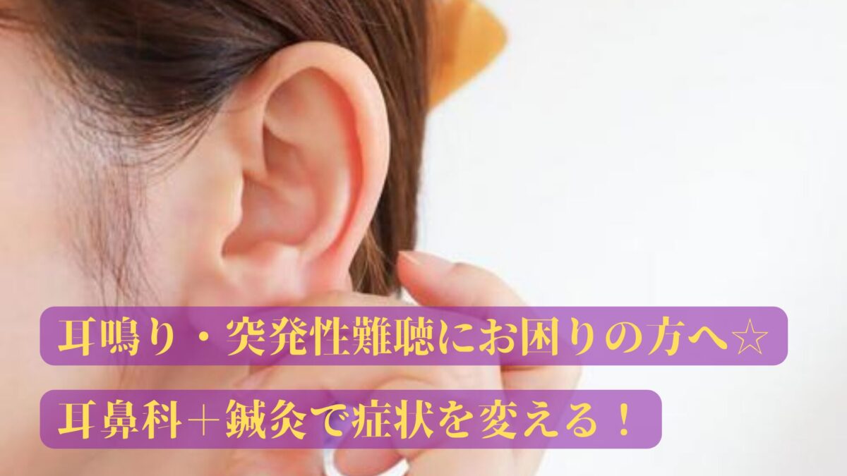 ￥５００クーポン🎁