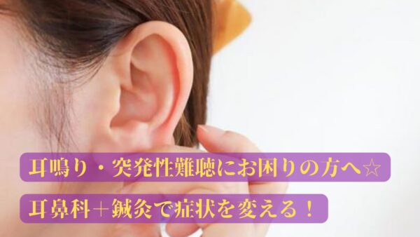 耳鳴り・突発性難聴にお困りの方へ☆耳鼻科＋鍼灸で症状を変える！