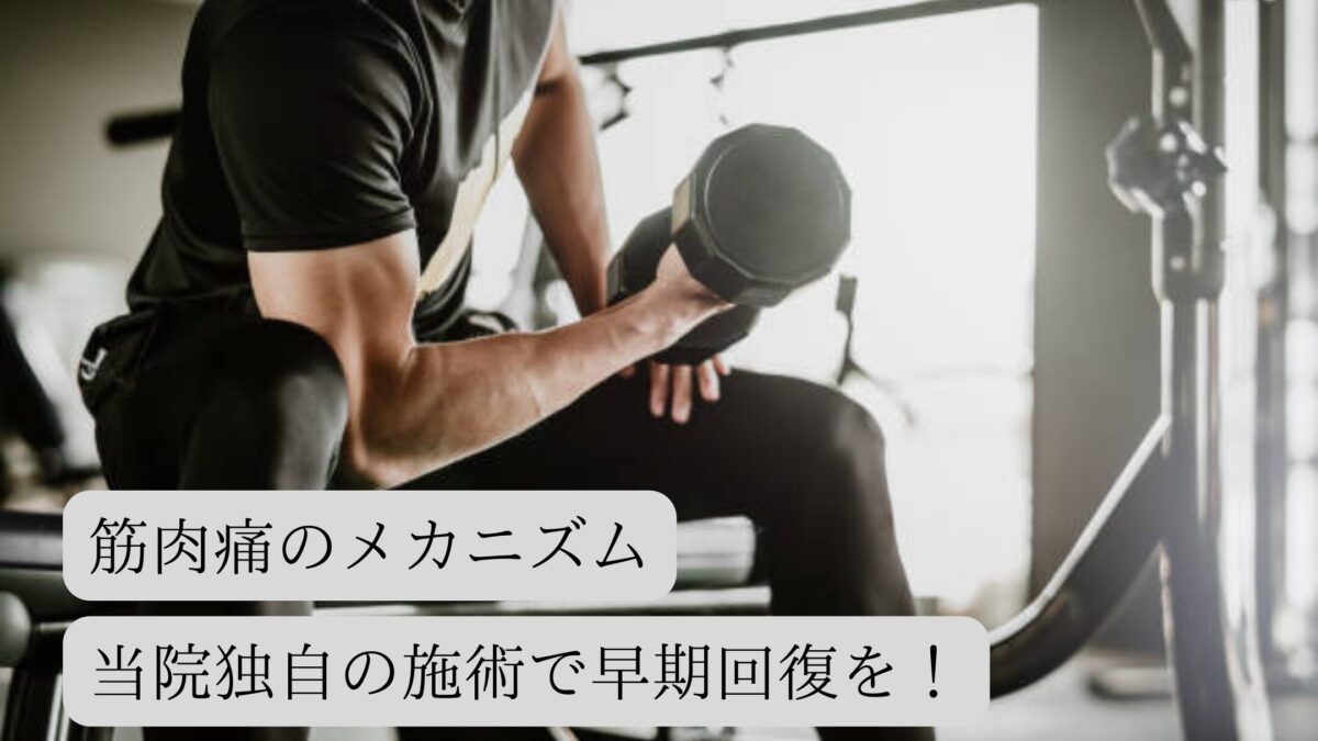 ￥５００クーポン🎁 (15)