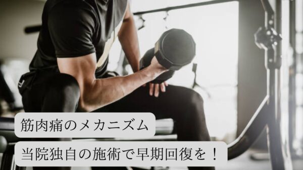 筋肉痛のメカニズム☆当院独自の施術で早期回復を！