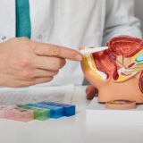 Istockphoto 1369069722 612x612