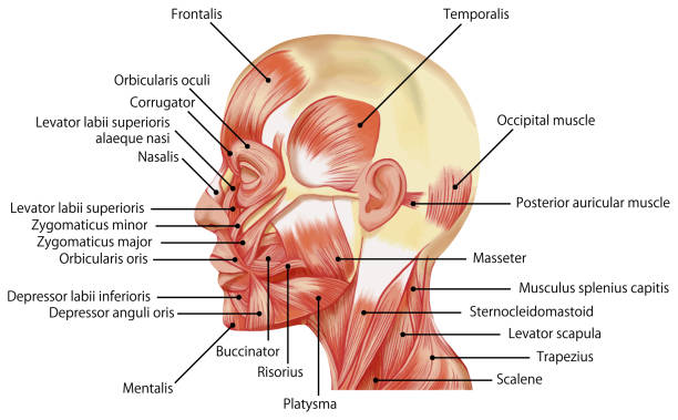 ?????????????????????????????????????