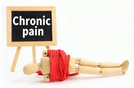 ファシアと筋肉の関係性を解説。体がほぐれるメカニズム！