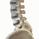 69c2f18904099428528f71a2915b0501 t