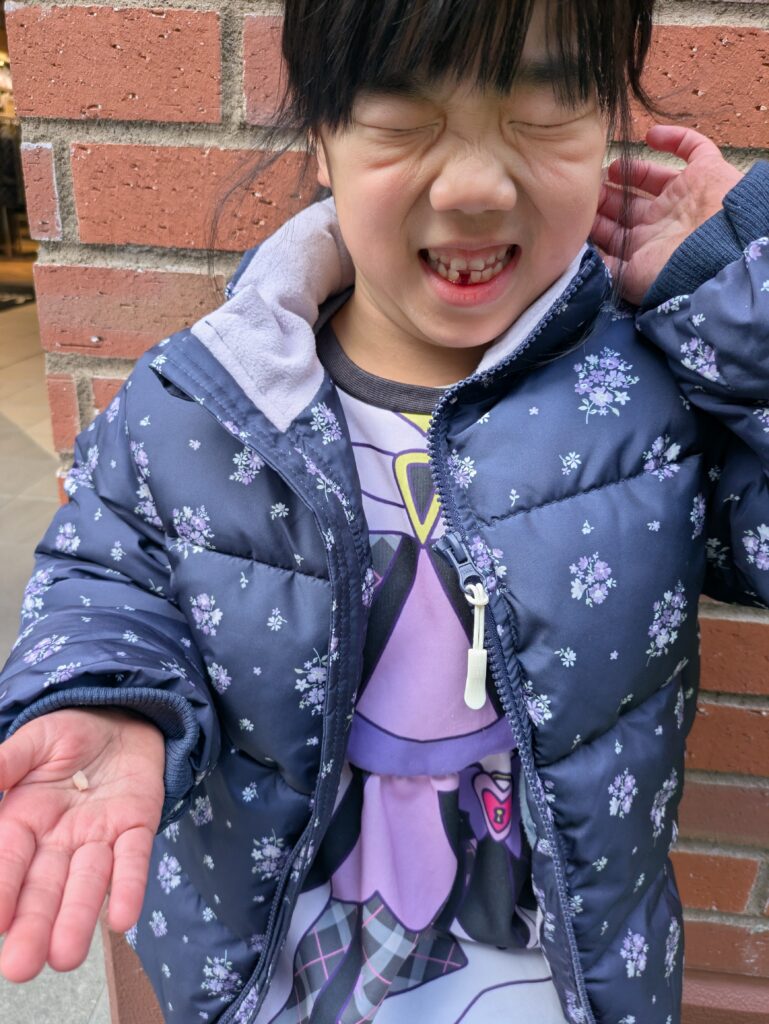 PXL 20260102 061958098.MP